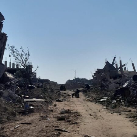 Green and Yellow: Two lines that separate me from my land