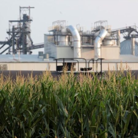 Trump administration allows high-ethanol gasoline to be sold this summer, easing smog rules