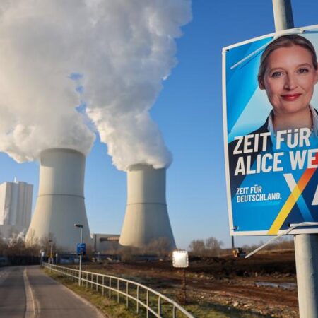 Germany’s AfD: The new neoliberal workers’ party?