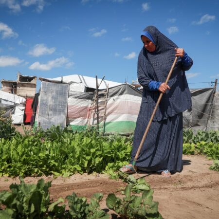 Land Day in Gaza: Between memory and the fight for what remains