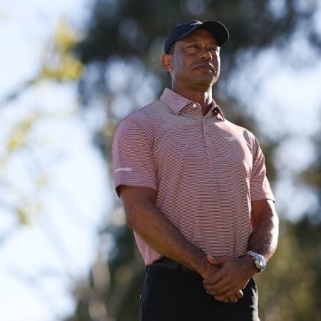 Drogenverdacht: US-Golfer Woods nach Festnahme freigelassen