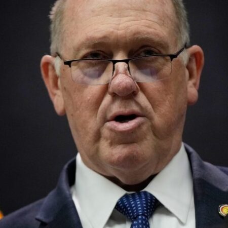 Homan on Democrats opposing ICE at voting sites: ‘What are they afraid of?’