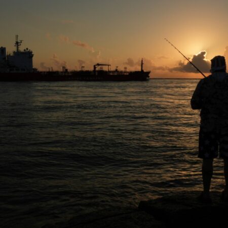 US exempts Gulf of Mexico oil drillers from endangered species protections