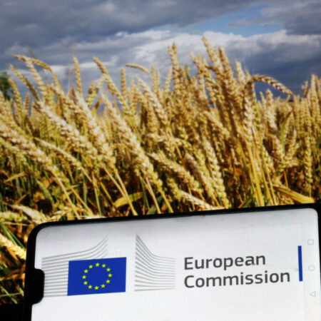 EU Commission loses another access to documents court case