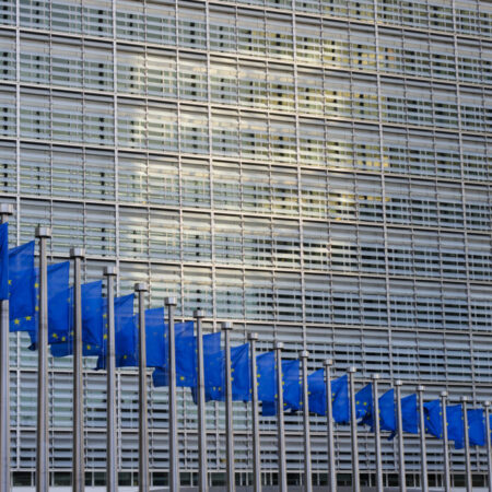 Human rights chief warns against banning social media for kids