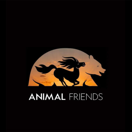 ‘Animal Friends,’ With Ryan Reynolds and Jason Momoa, Moves to Next Year