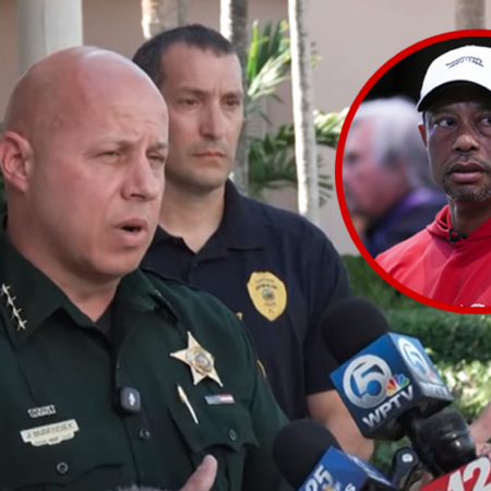 Tiger Woods Crash News Conference Livestream