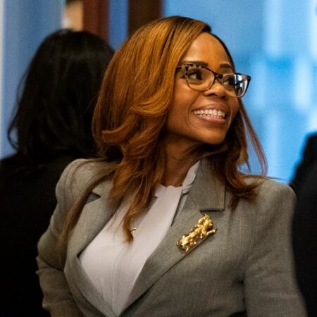 Democrats face test as rare Ethics hearing examines Cherfilus-McCormick fraud allegations