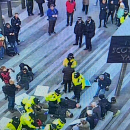 Palestine Action supporters arrested as London’s Met Police reverse policy