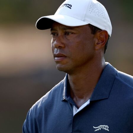 Tiger arrested on suspicion of DUI after crash