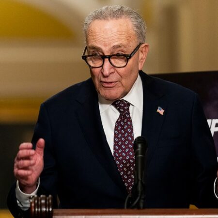 Deal to fund DHS draws fire from right and left as shutdown continues