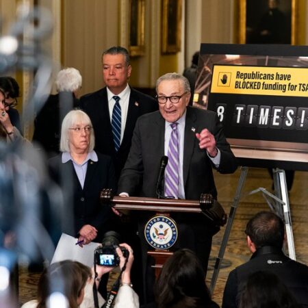 DHS reopening deal on shaky ground amid bipartisan backlash