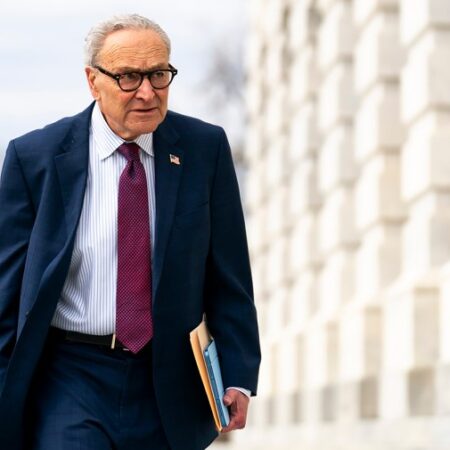Schumer faces discontent from Democrats running for the Senate