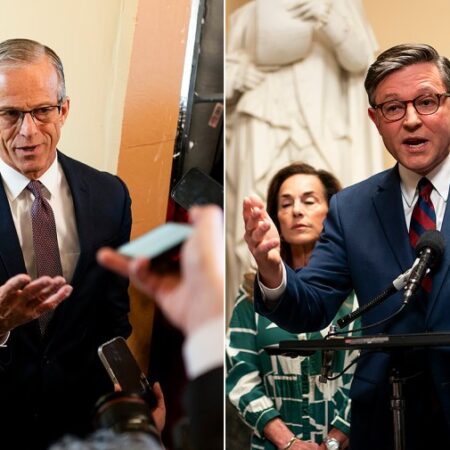 GOP divisions on display as Johnson rejects Thune-backed Senate DHS deal