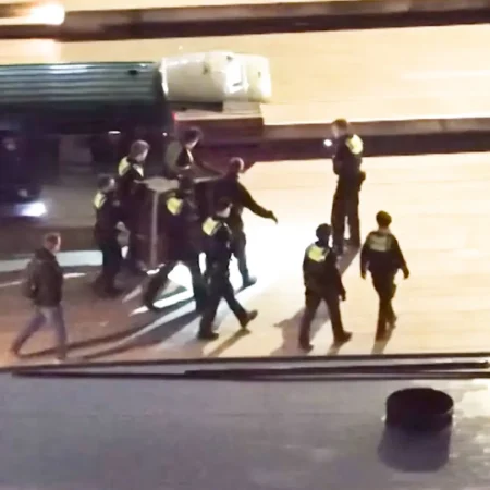 Wolf bites woman in face near Hamburg IKEA during first attack in decades