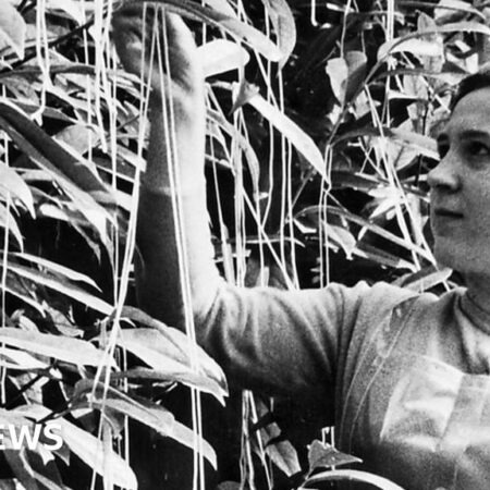 Pot Noodle pizza and Liz Truss joining Nasa were among the best April fools this year