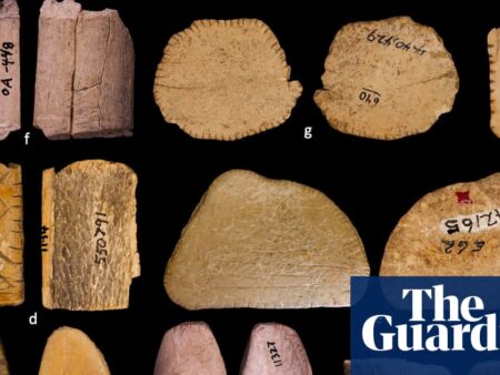 Native Americans were gambling with dice 6,000 years earlier than anyone else, study says