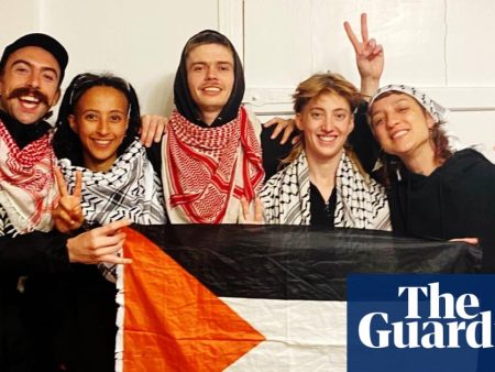 Pro-Palestine activists face trial for attack on Israeli arms factory in Germany