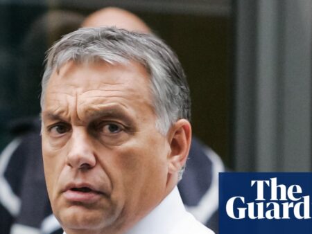 MEPs raise alarm about possible Russian interference in Hungary’s elections