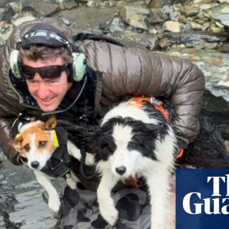 Molly the border collie rescued after a week waiting for injured owner in New Zealand’s remote backcountry