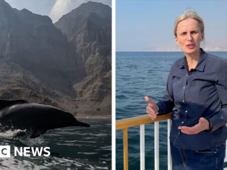 ‘We are at the edge of a battlefield’: BBC reports near Strait of Hormuz