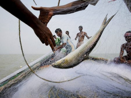 Can fish hook voters in India’s West Bengal elections?