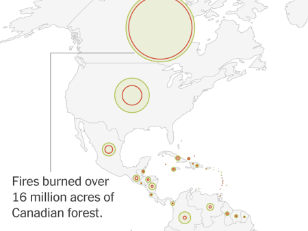 Global Deforestation Slows, W.R.I. Report Finds. But Wildfires Are Taking a Toll.