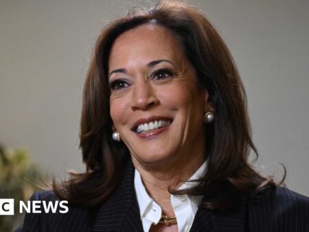 Kamala Harris gives her clearest signal she is mounting a 2028 US presidential bid