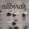 Shares in Allbirds surge after maker of wool sneakers announces pivot to AI