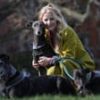 Green MP: Labour caricatures working-class people over greyhound racing