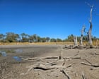 Governments failed to deliver $160m of river improvements including for now-parched NSW wetlands, report finds