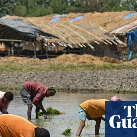 ‘India is going to face a food crisis’: Farmers panic over fertiliser shortages amid Iran war