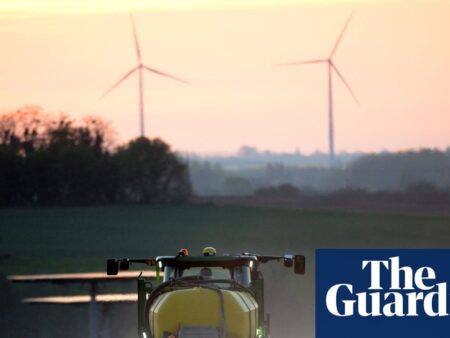 Campaigners demand action to break UK’s ‘addiction’ to herbicides