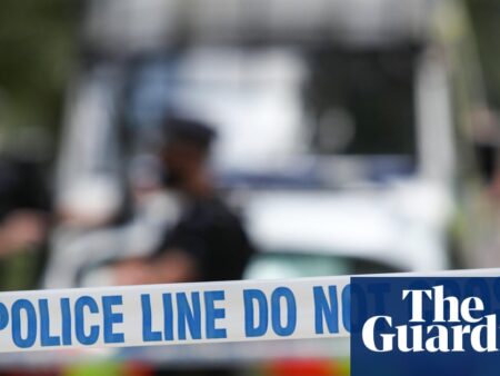 Woman, 19, dies after being attacked by dog at property in Essex