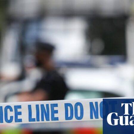 Woman, 19, dies after being attacked by dog at property in Essex