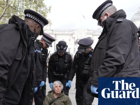 Met police make arrests at London Palestine Action protest