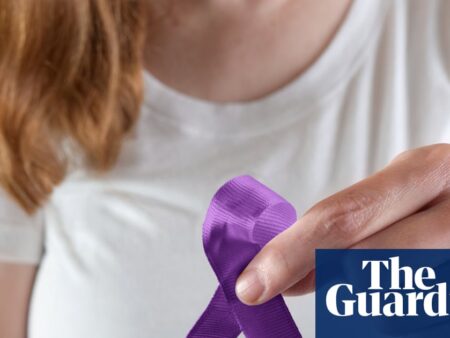 US states propose domestic violence registries – but could they harm women?