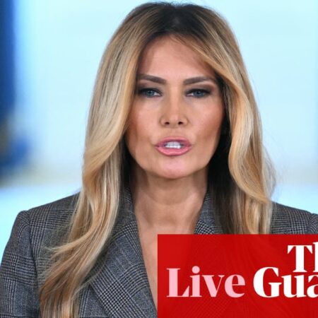 Melania Trump says she did not have relationship with Jeffrey Epstein