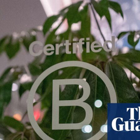 Dozens of firms risk losing B Corp status after standards overhaul
