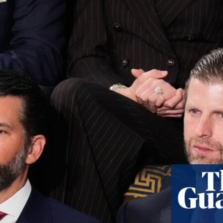 Firm backed by Trump sons tries to sell drone interceptors to Gulf states being attacked by Iran