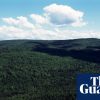 What counts as the woods? Judge axes Nova Scotia’s ban that defied ‘commonsense definitions’