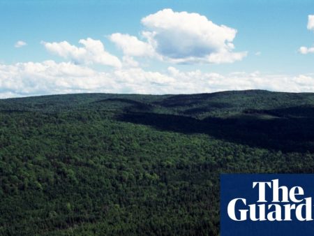 What counts as the woods? Judge axes Nova Scotia’s ban that defied ‘commonsense definitions’