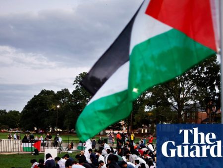 Requests for US legal aid linked to Palestine activism far surpass pre-2023 levels