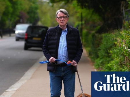 Ministers urged to share Mandelson vetting files with intelligence committee