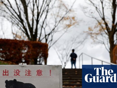 Record bear sightings in Japan cause alarm as hibernation ends