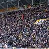 69 Hausverbote: Dynamo reagiert auf Fan-Prügelei