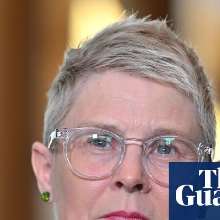 ‘Letting the algorithm rip’: no legal basis for lack of human override of aged care funding tool, inquiry hears