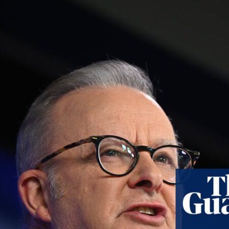 Asian countries assure Australia ‘normal supply’ of fuel will continue as Albanese focuses on averting shortages