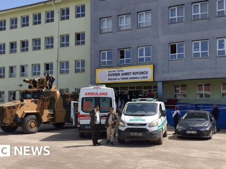 Sixteen injured after ex-student opens fire at high school in Turkey