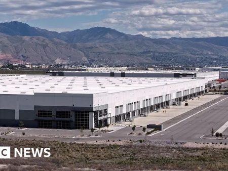 French woman, 86, held by ICE after moving to US to reunite with long-lost love